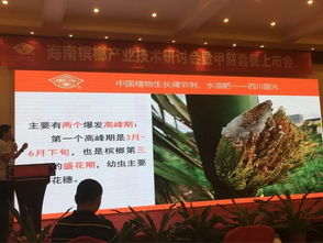 创新共赢 2018槟榔产业技术研讨交流会彰显技术推广服务新篇章