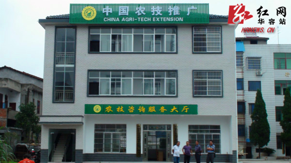 湖南省农业委领导视察华容农技推广体系工作 推动技术推广服务，助力农业现代化