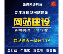 IT技术服务与技术推广服务 数字化落地的双重引擎